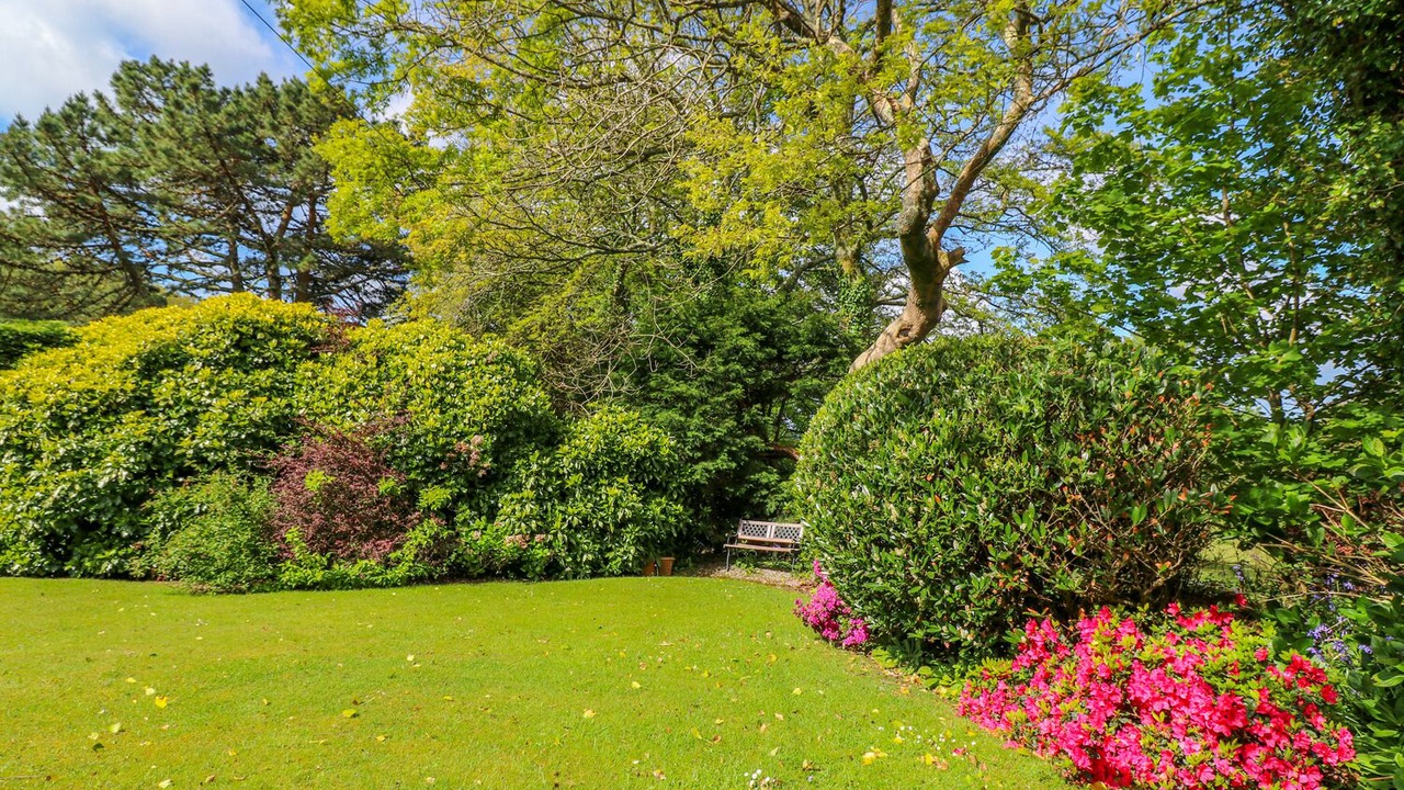 Photo of Others in Camborne