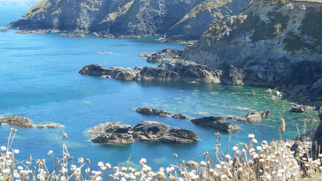 Photo of Others in Camborne