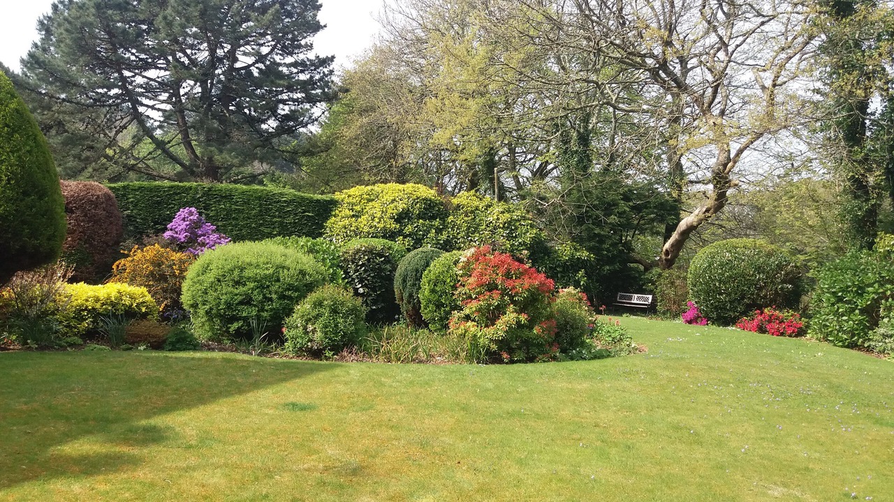 Photo of Others in Camborne