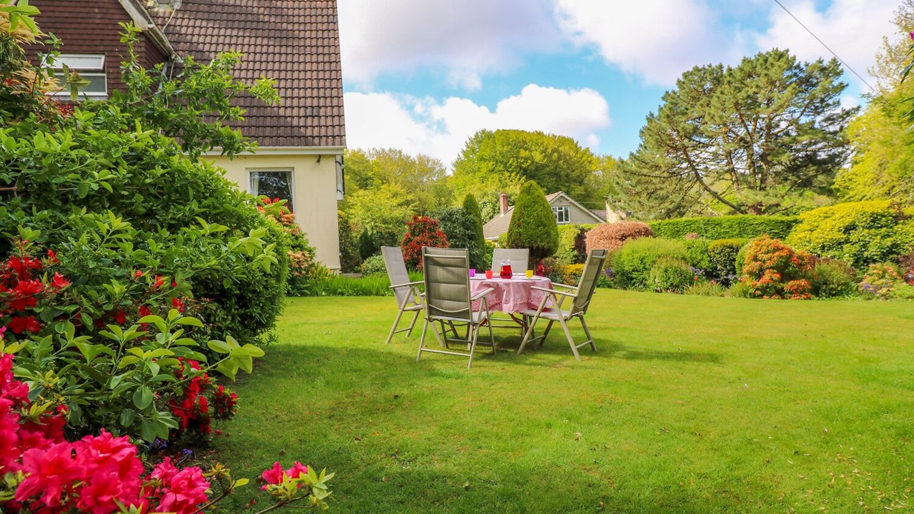 Photo of Others in Camborne