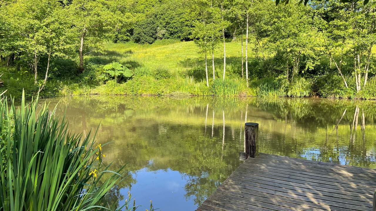 Photo of Others in Cannards Grave