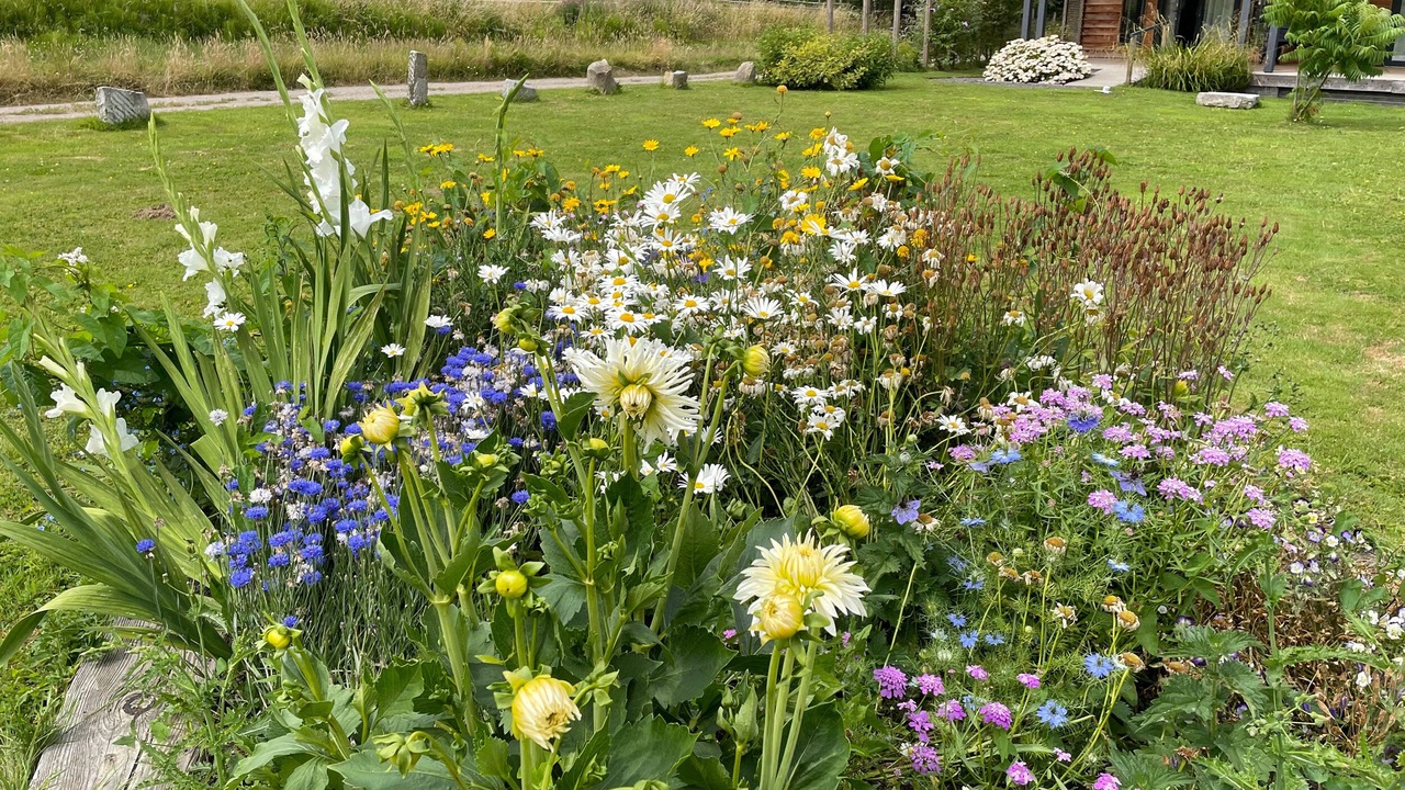 Photo of Others in Cannards Grave
