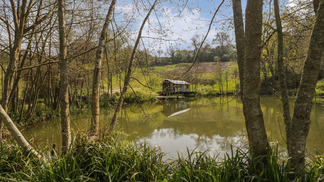 Photo of Others in Cannards Grave