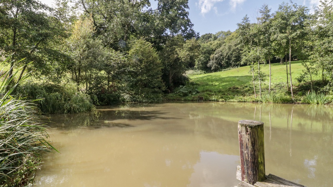 Photo of Others in Cannards Grave