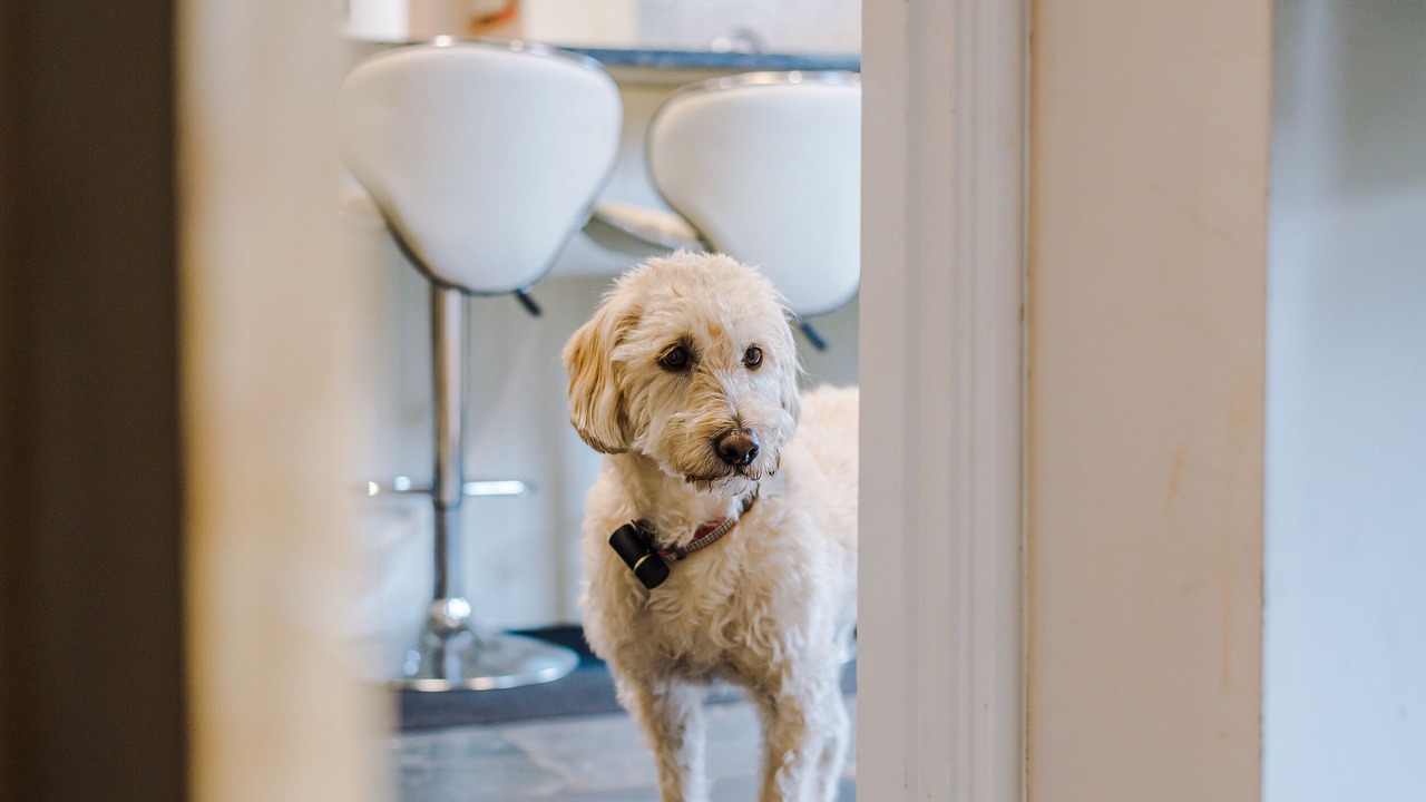 Photo of Others in Axton