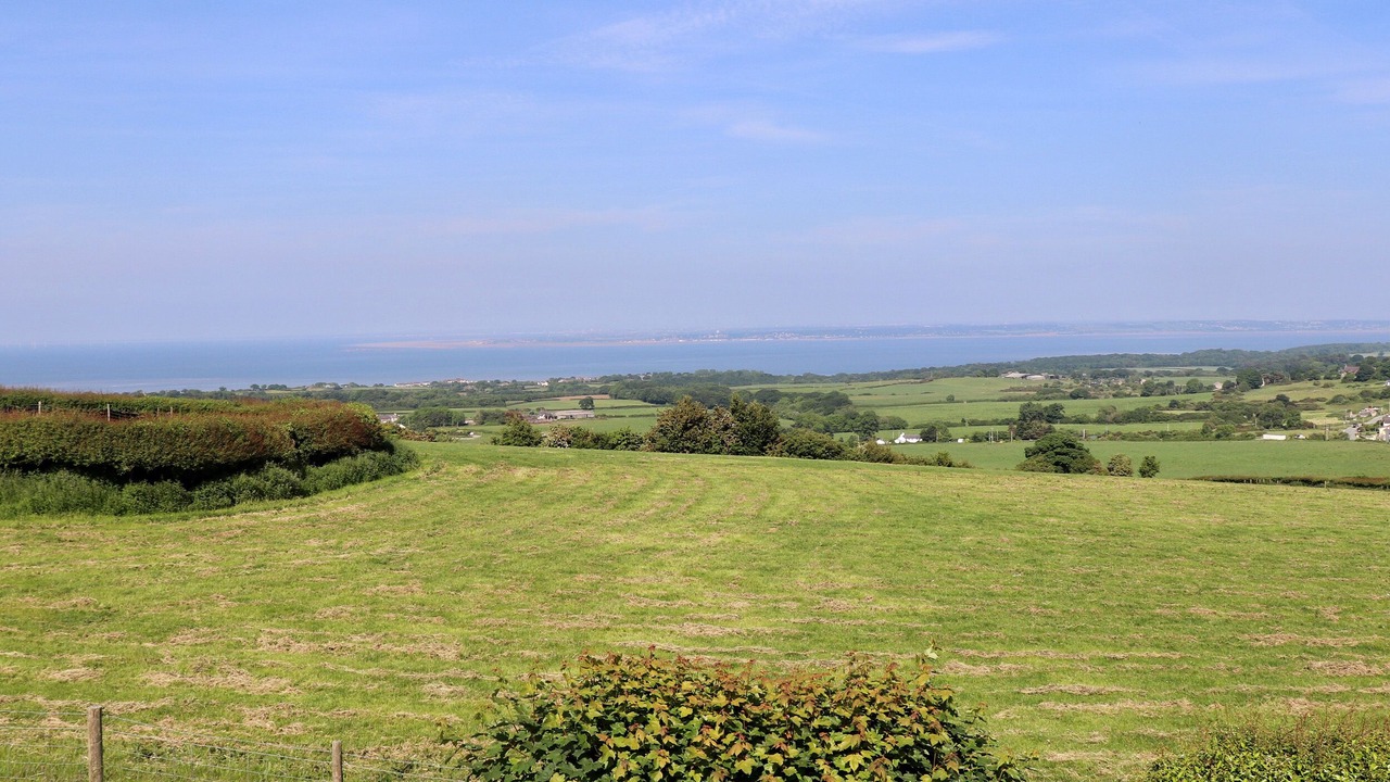 Photo of Others in Axton