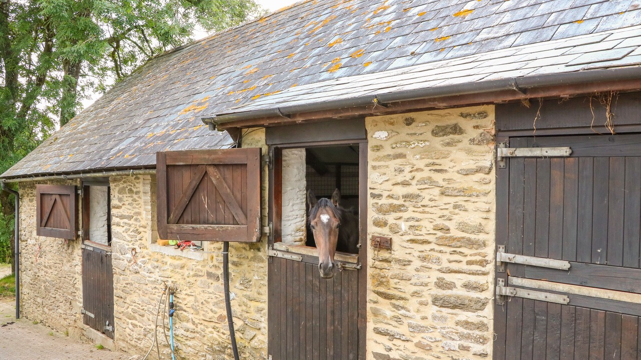 Photo of Outdoor in Exmoor National Park