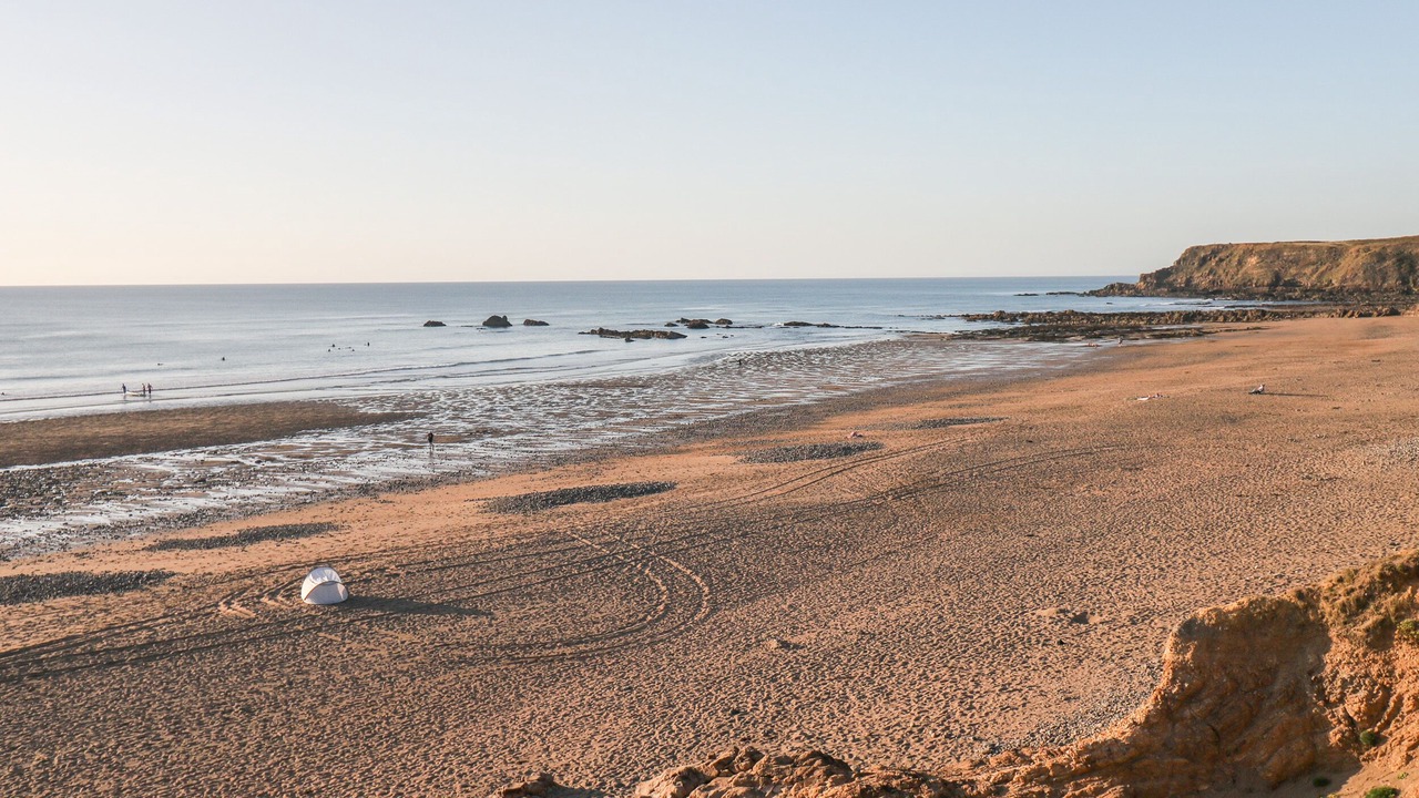 Photo of Others in Brazzacott