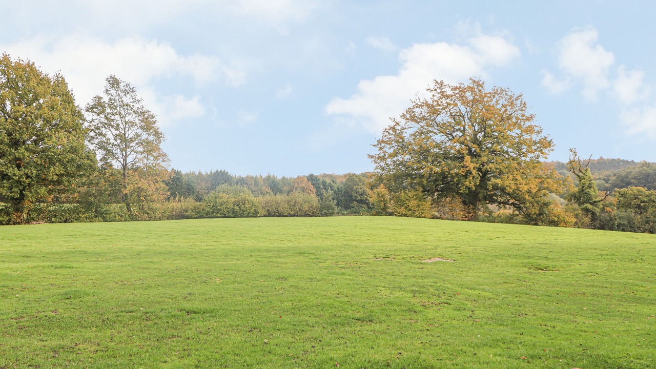 Photo of Others in Maidstone