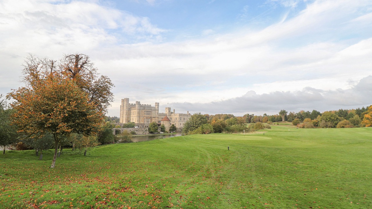 Photo of Others in Maidstone