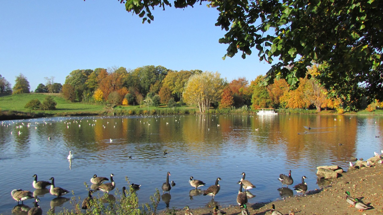 Photo of Others in Maidstone