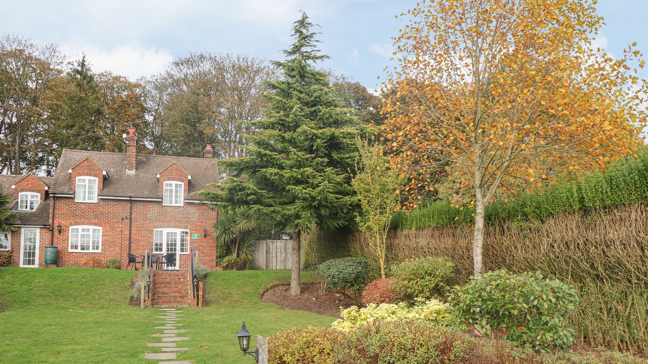 Photo of Others in Maidstone