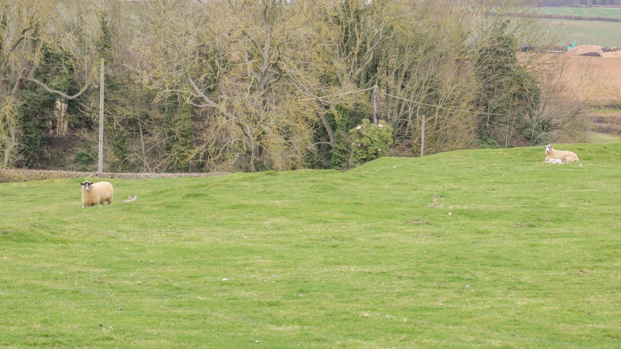 Photo of Others in Barrowden