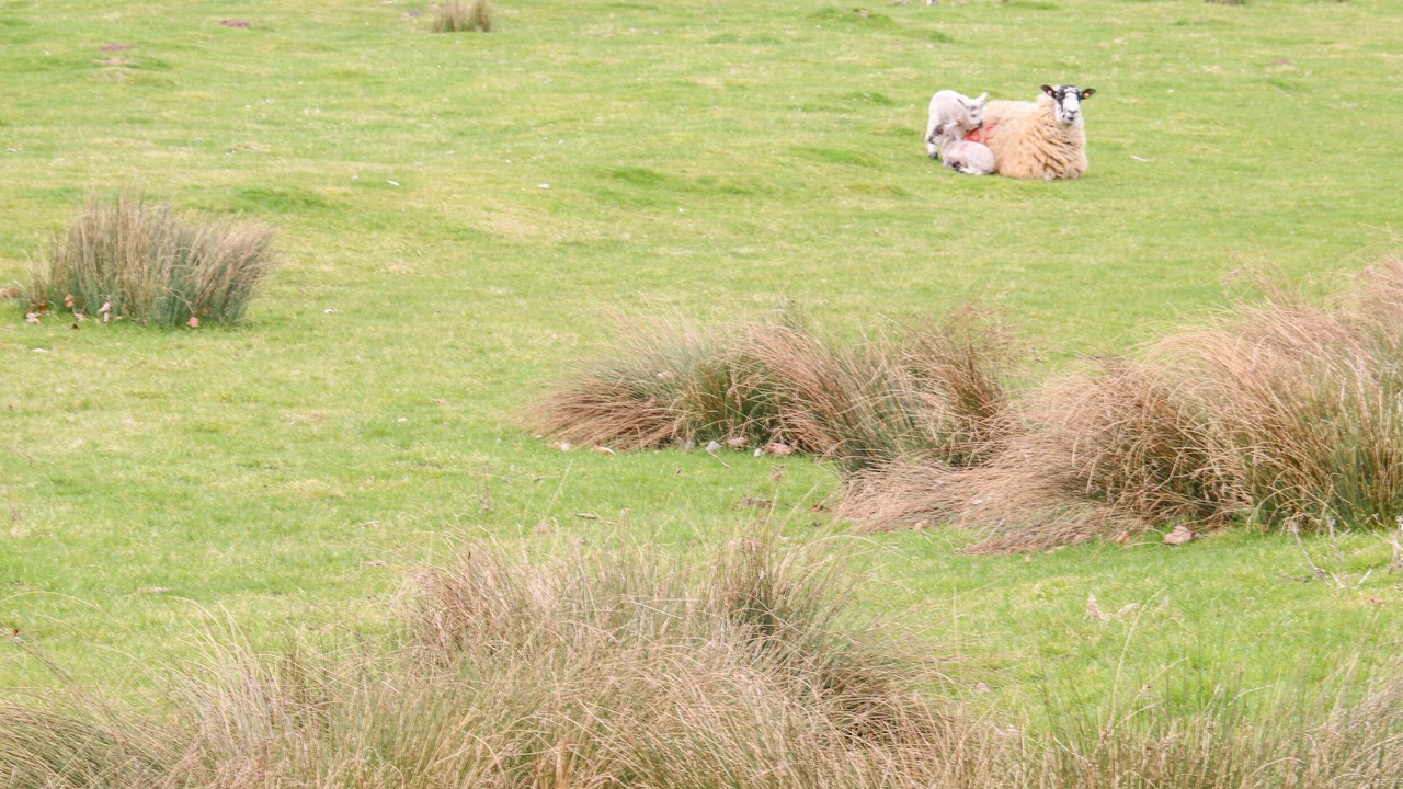 Photo of Others in Barrowden