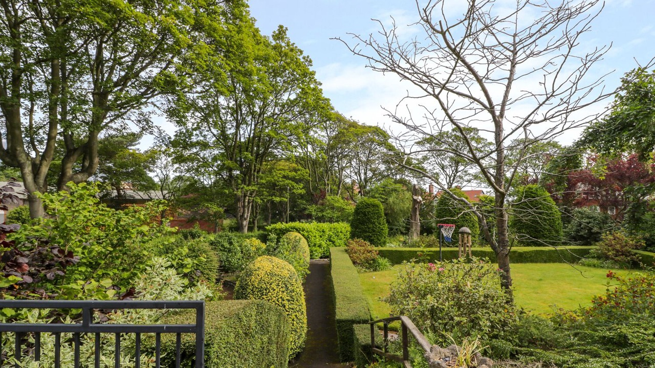 Photo of Others in South Cliff