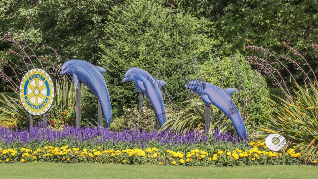 Photo of Others in South Cliff