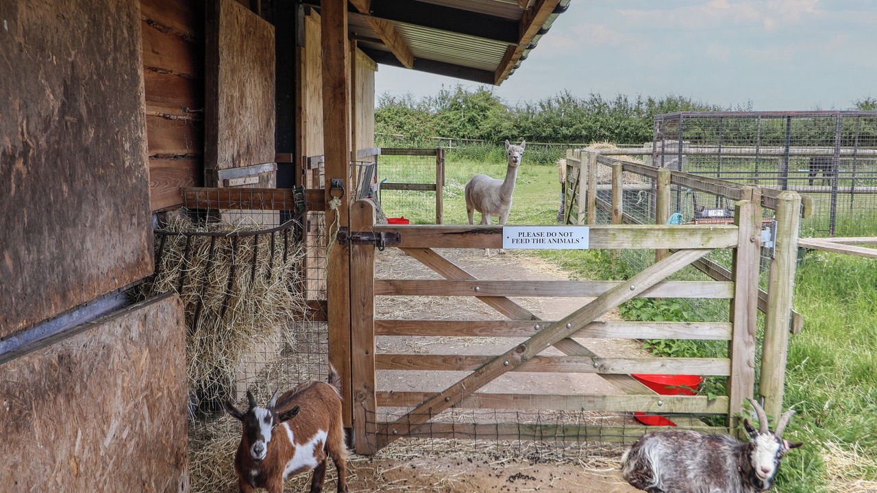 Photo of Others in Wimbolds Trafford