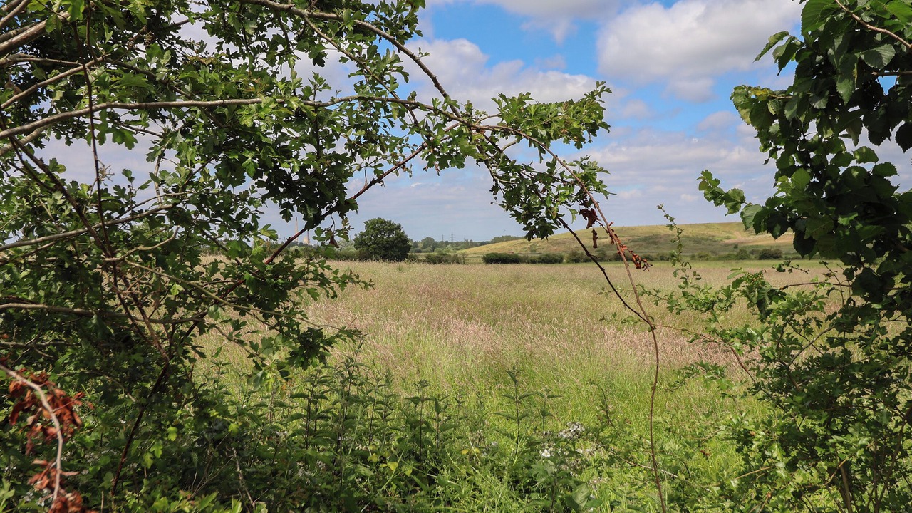 Photo of Others in Wimbolds Trafford