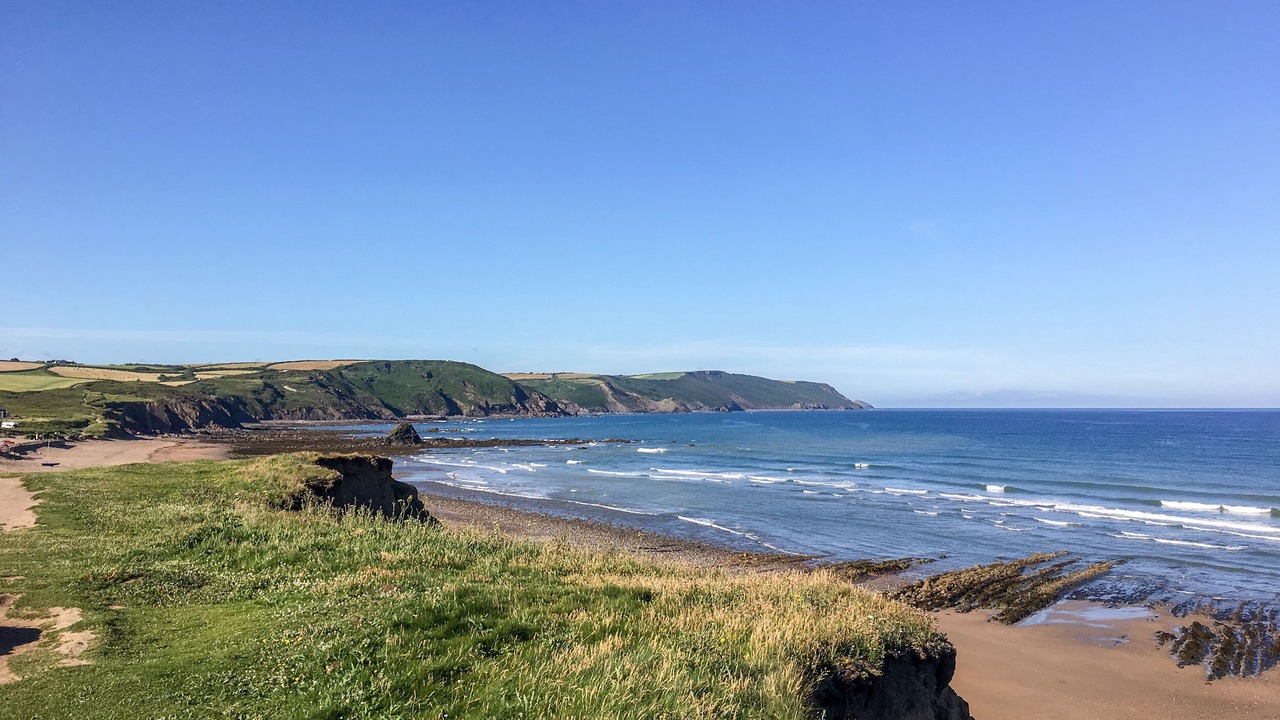 Photo of Others in Widemouth Bay