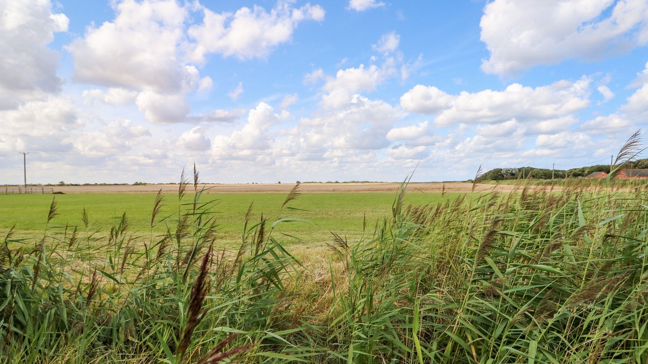 Photo of Others in Anderby Creek
