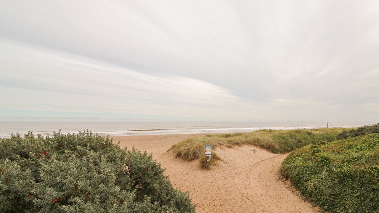 Photo of Others in Anderby Creek