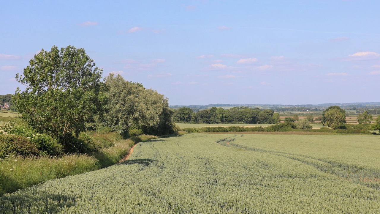 Photo of Others in Melton Mowbray