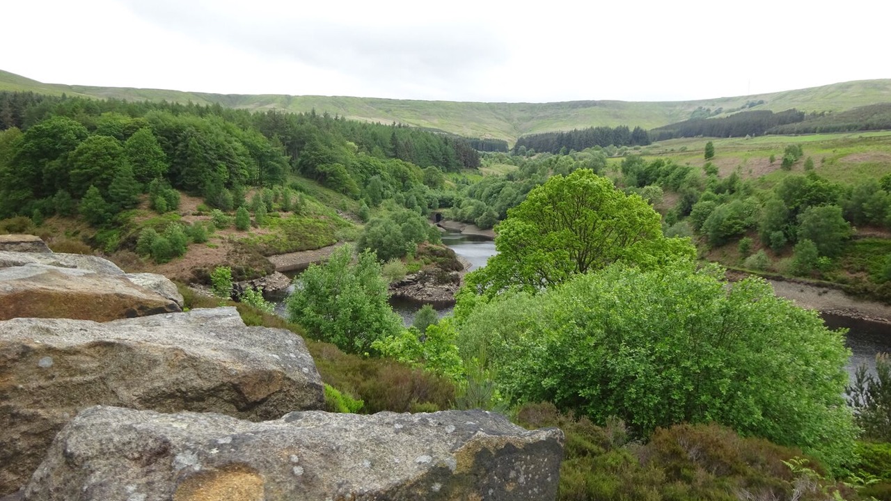 Photo of Others in Holmbridge