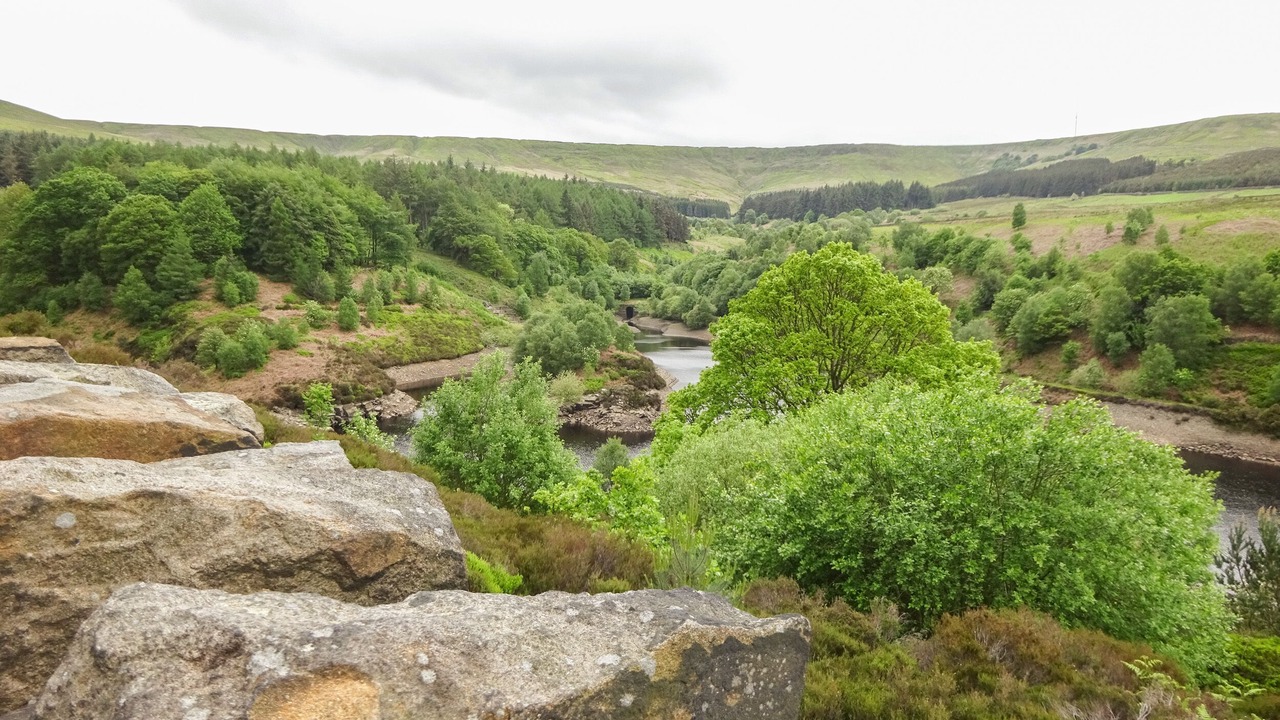 Photo of Others in Holmbridge