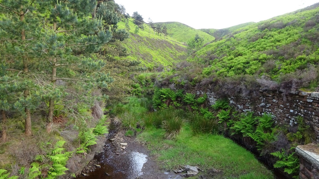 Photo of Others in Holmbridge