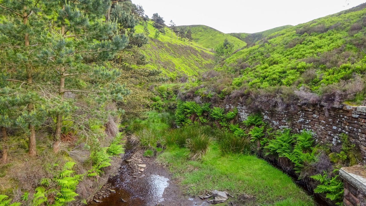 Photo of Others in Holmbridge