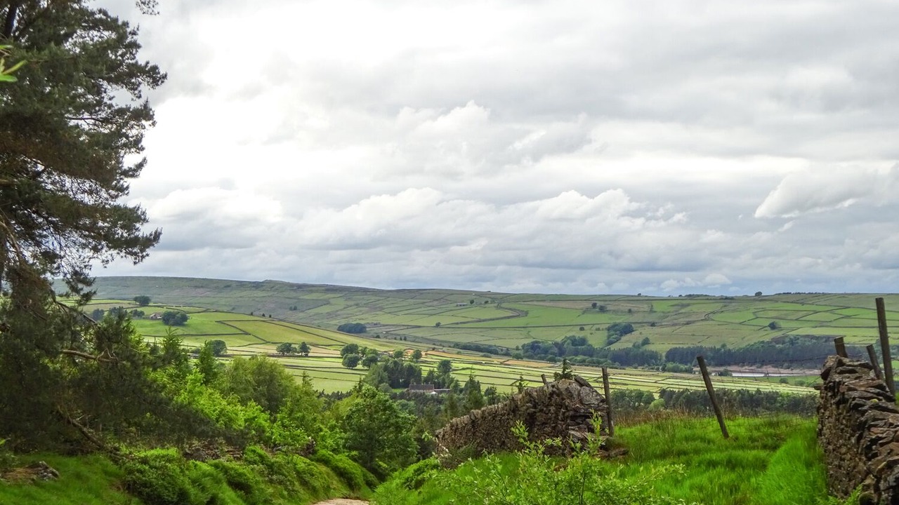 Photo of Others in Holmbridge