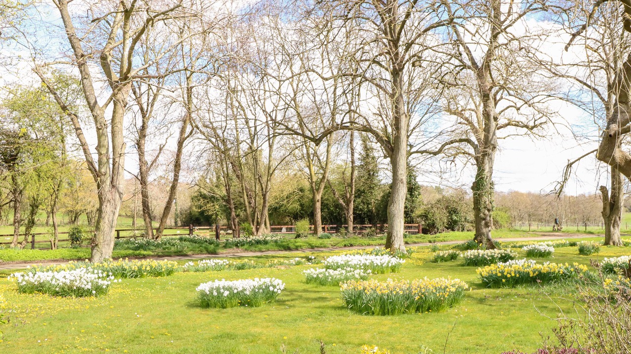 Photo of Others in Stanfield