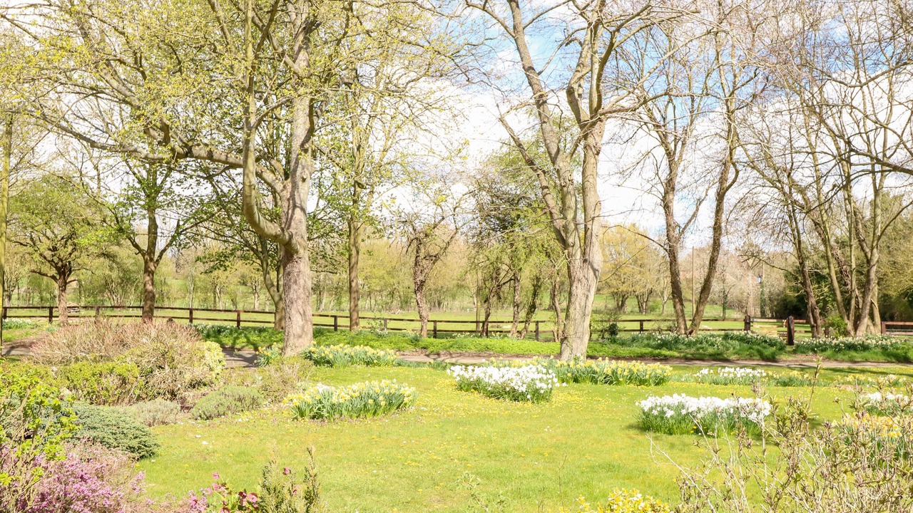 Photo of Others in Stanfield