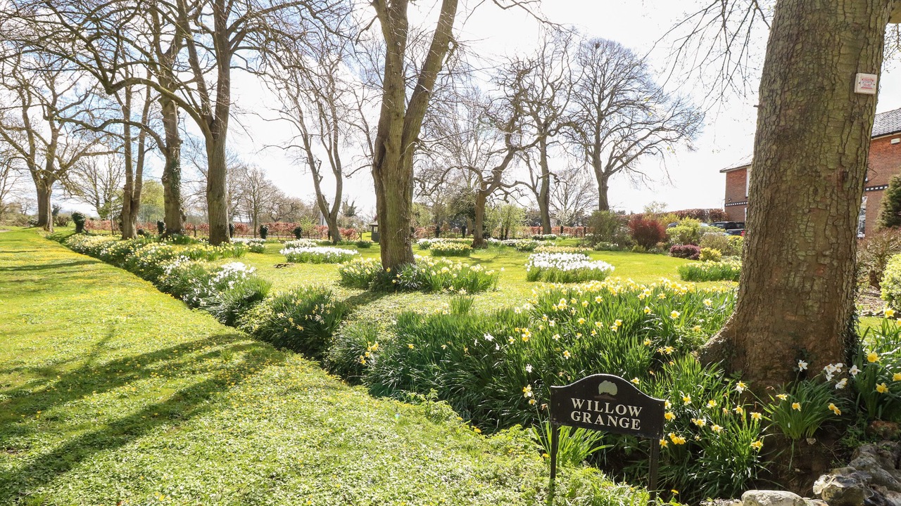 Photo of Others in Stanfield