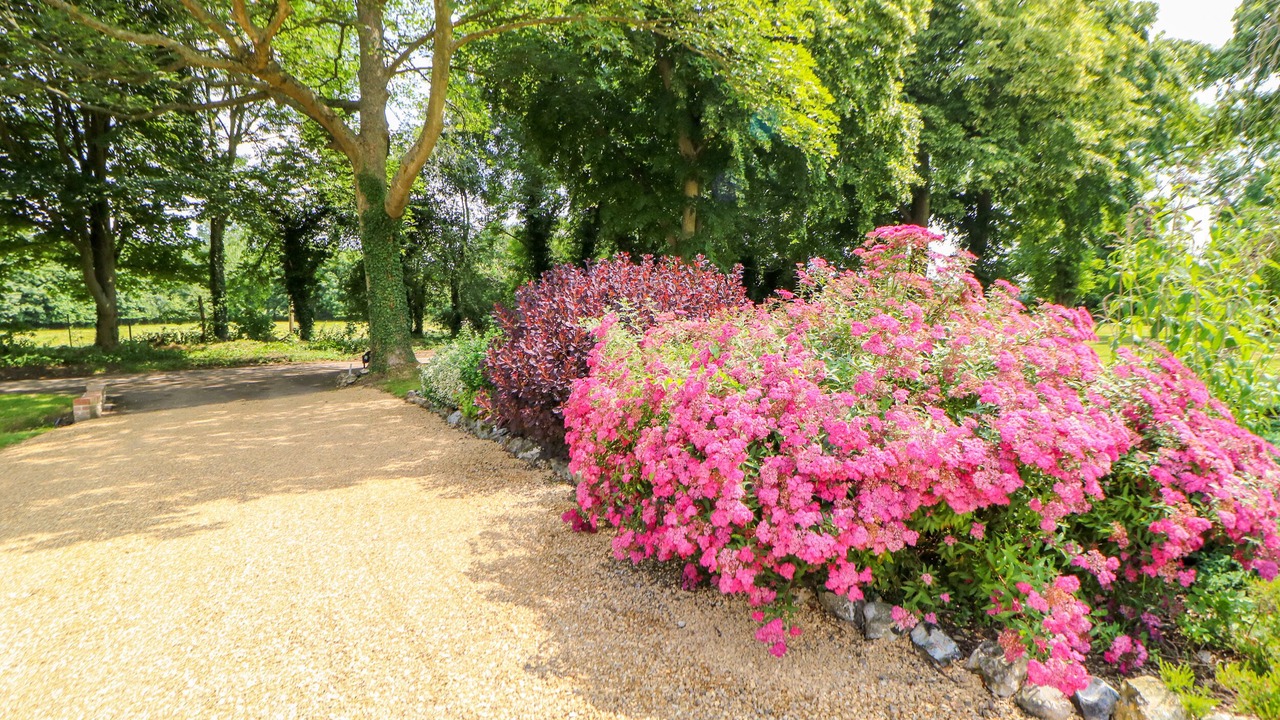 Photo of Others in Stanfield