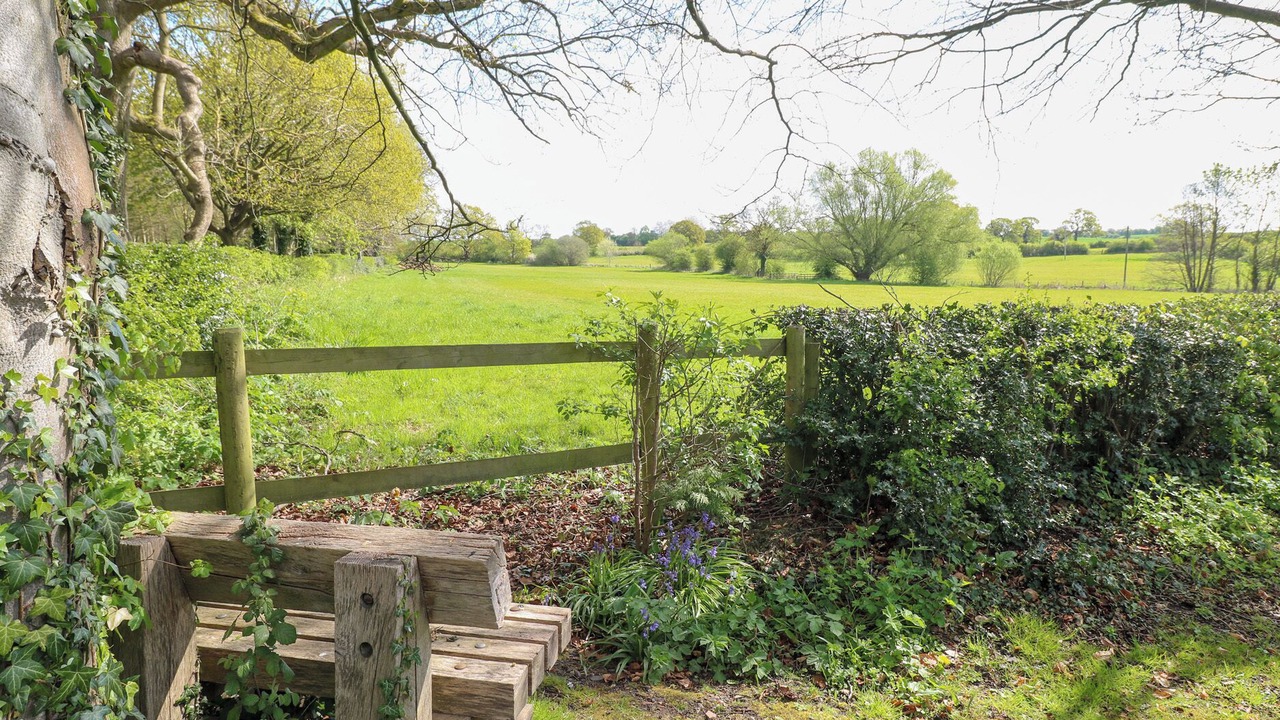 Photo of Others in Rugeley