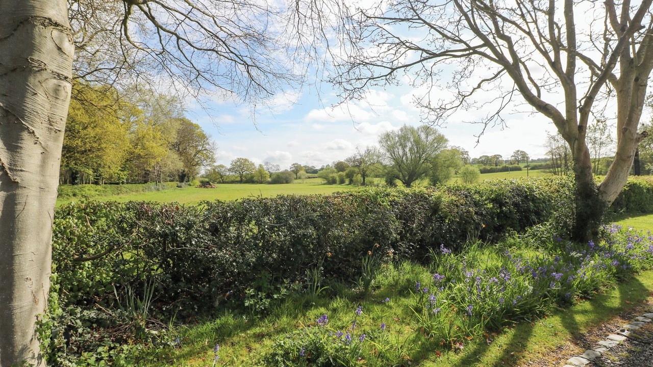 Photo of Others in Rugeley