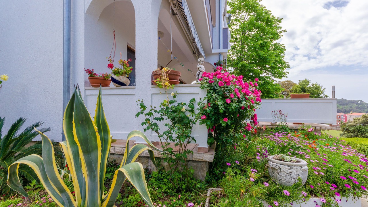 Photo of Outdoor in Rab