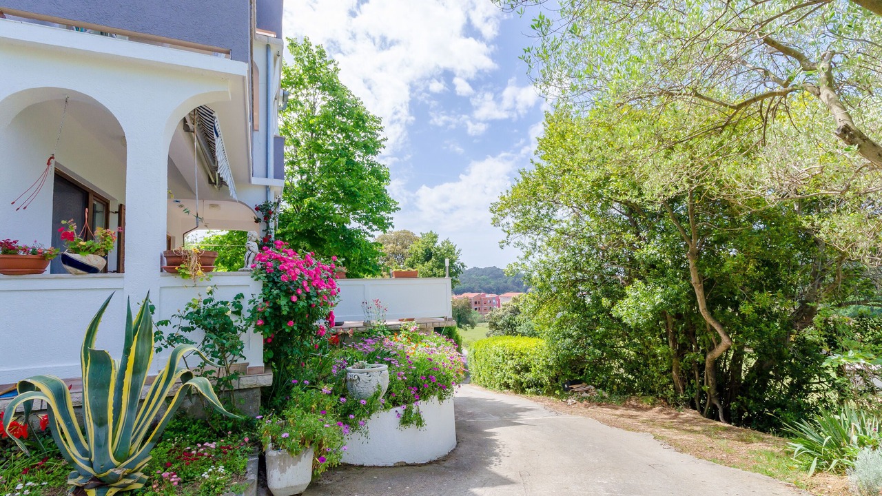 Photo of Outdoor in Rab