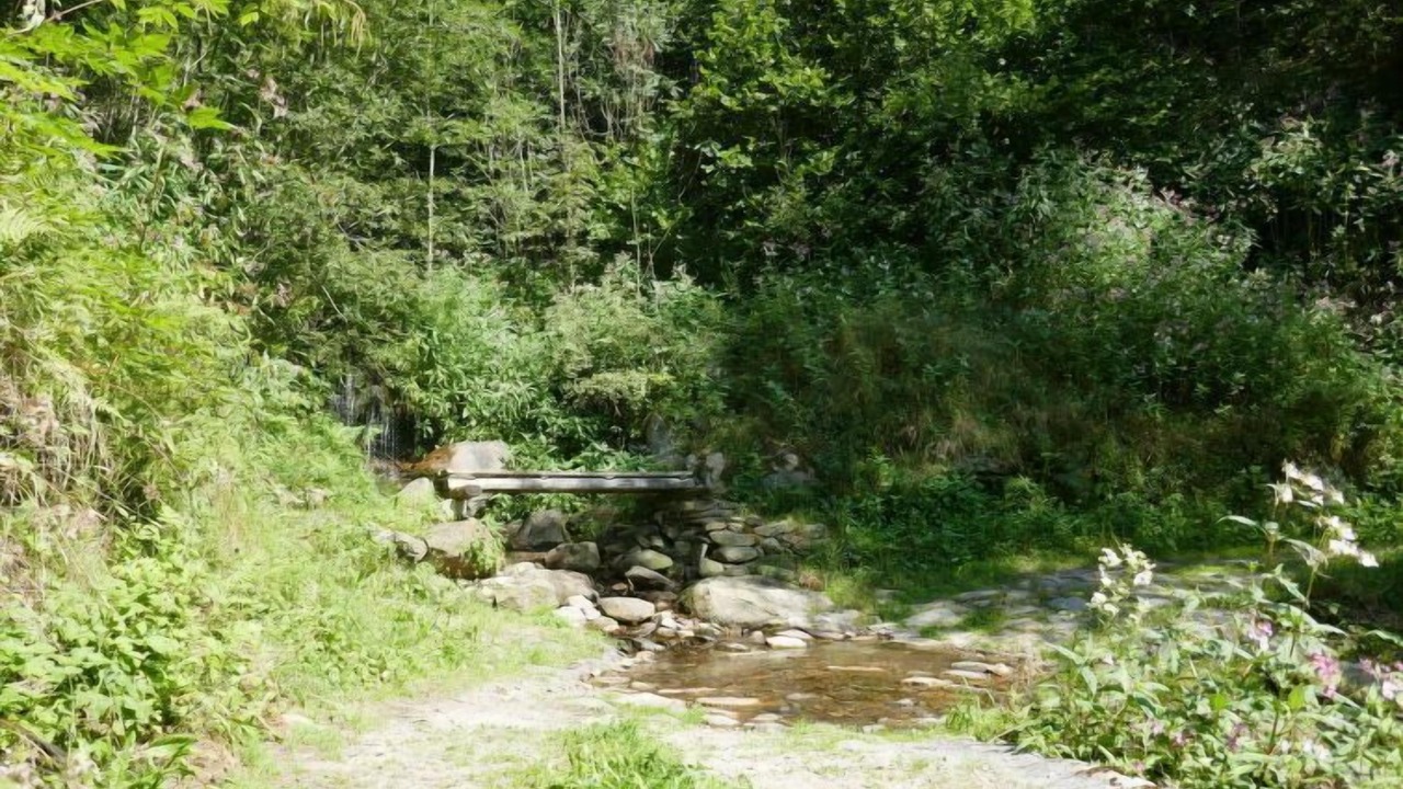Photo of Outdoor in Acquarossa