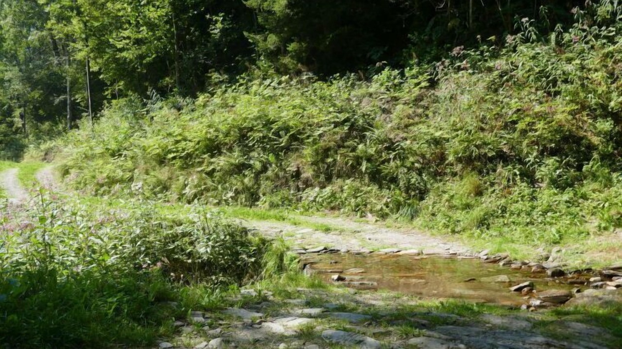 Photo of Outdoor in Acquarossa