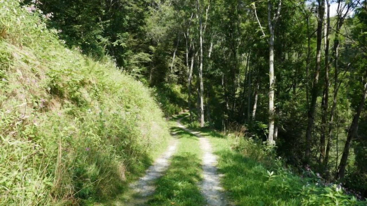 Photo of Outdoor in Acquarossa