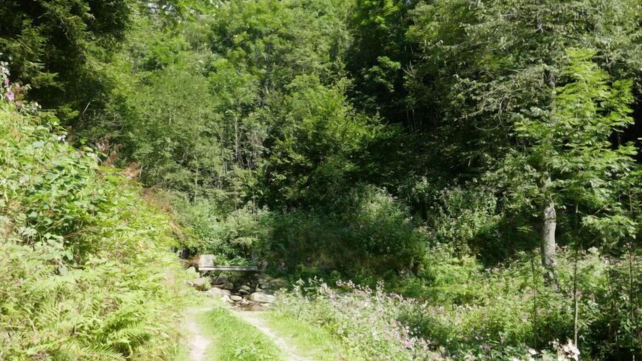 Photo of Outdoor in Acquarossa