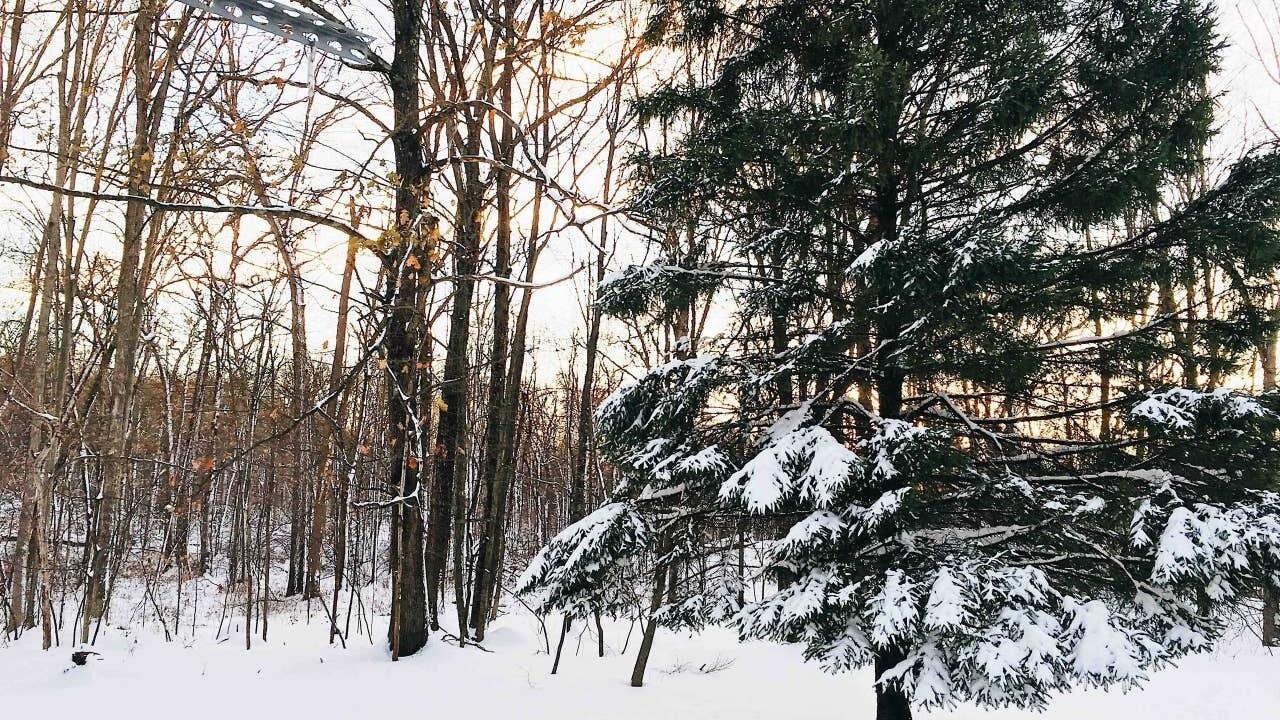 Photo of Others in Rhinebeck