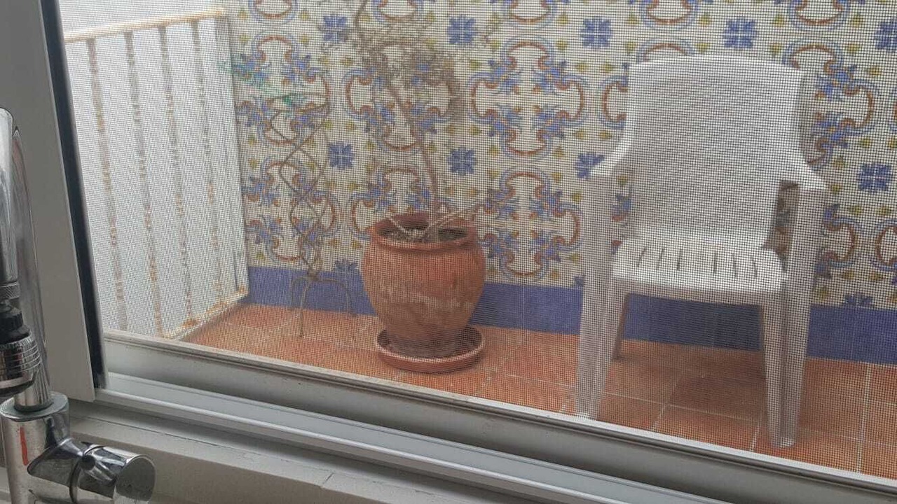 Photo of Others in Lliria