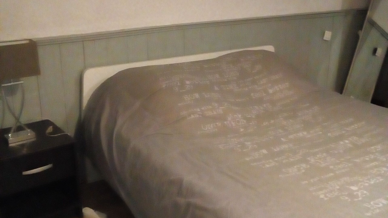 Photo of Bedroom in Albieres
