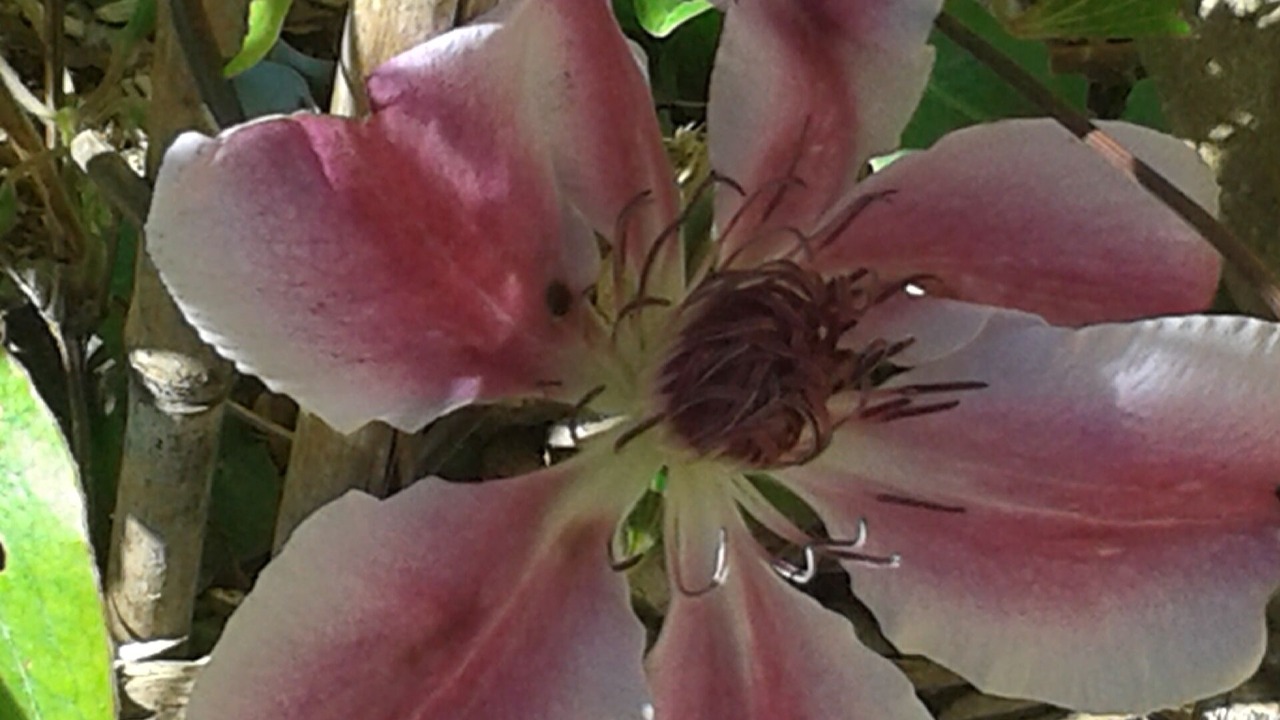 Photo of Outdoor in Vallon-Pont-d'Arc