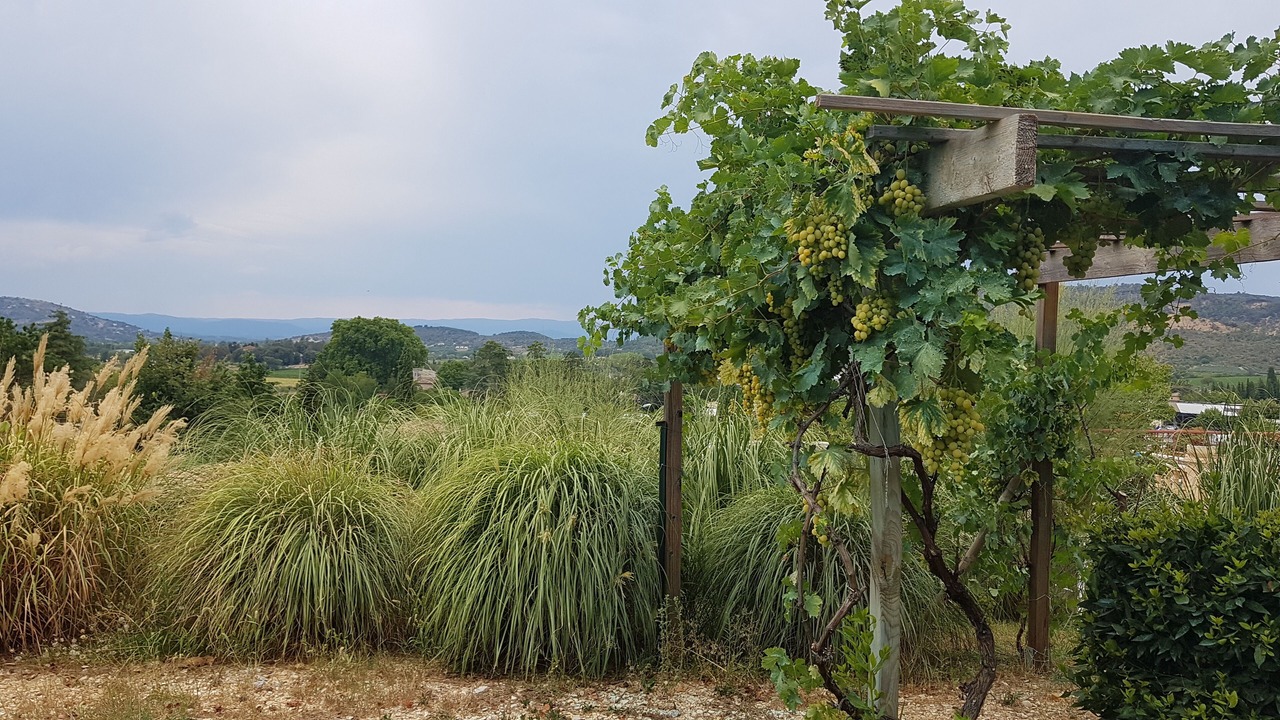 Photo of Outdoor in Vallon-Pont-d'Arc