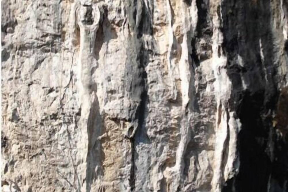 Photo of Others in Chert