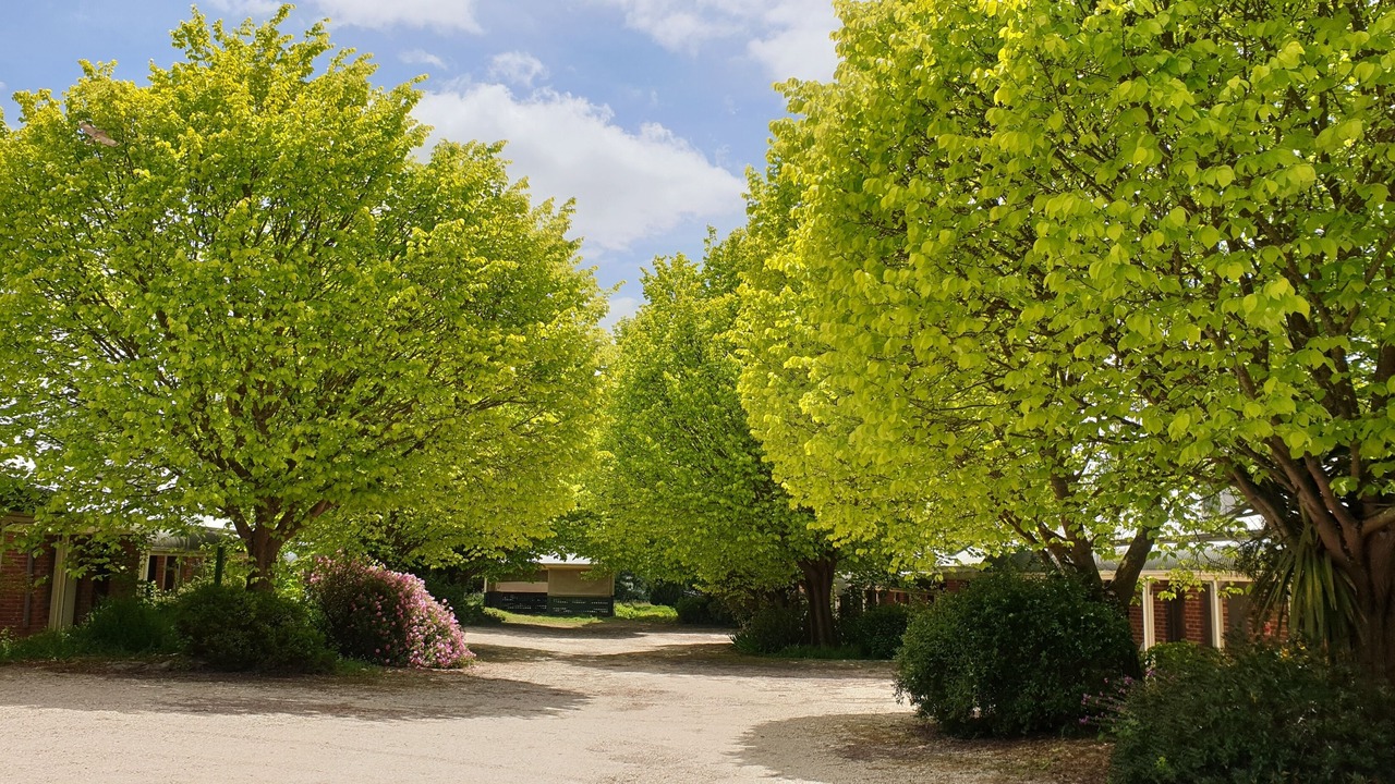Photo of Outdoor in Lancefield